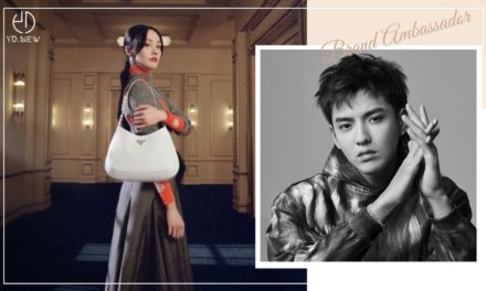 中國明星屢次陷入醜聞風波！為何Hermès從來不會採用明星策略？