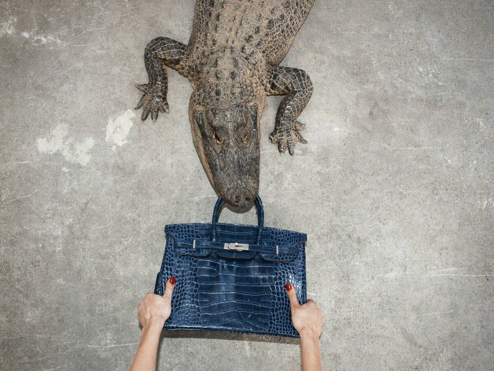 Hermès為何持續押注鱷魚皮革？品牌將會面臨怎樣的挑戰？